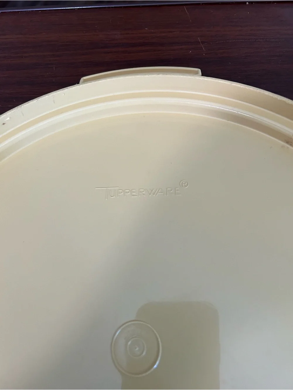 Vintage Tupperware Maxi cake taker 12 x 15 x 6” made in USA, #1256-2,